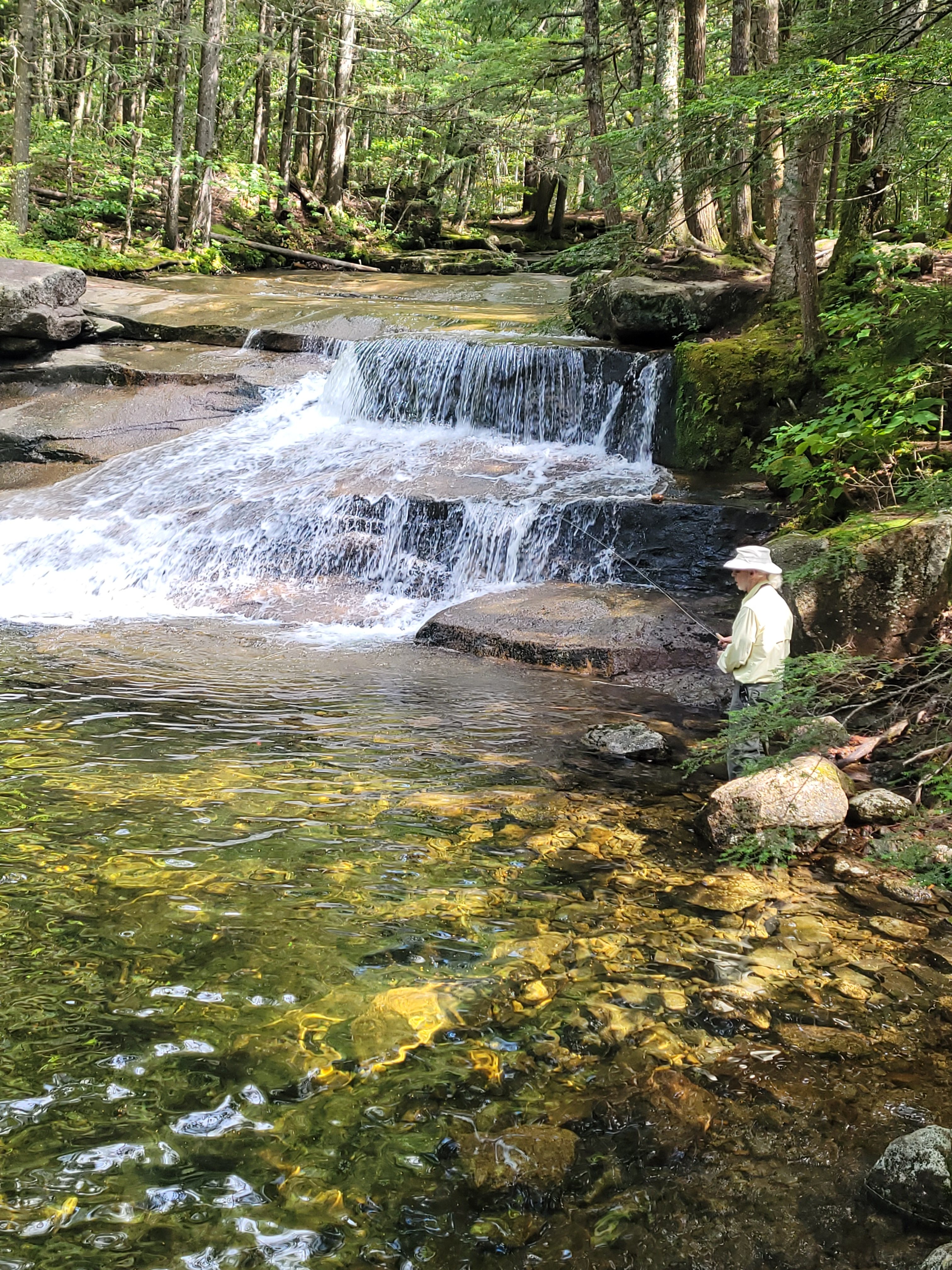 White Mountain guided fly fishing